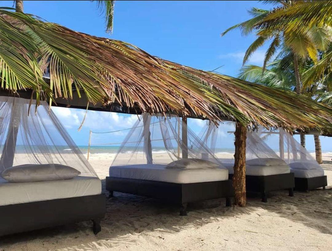 Camping Castilletes Parque Tayrona Bed & Breakfast Ел Заино Екстериор снимка