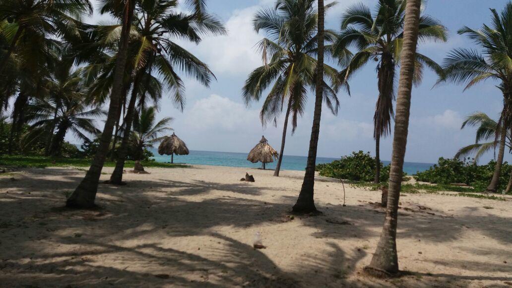 Camping Castilletes Parque Tayrona Bed & Breakfast Ел Заино Екстериор снимка