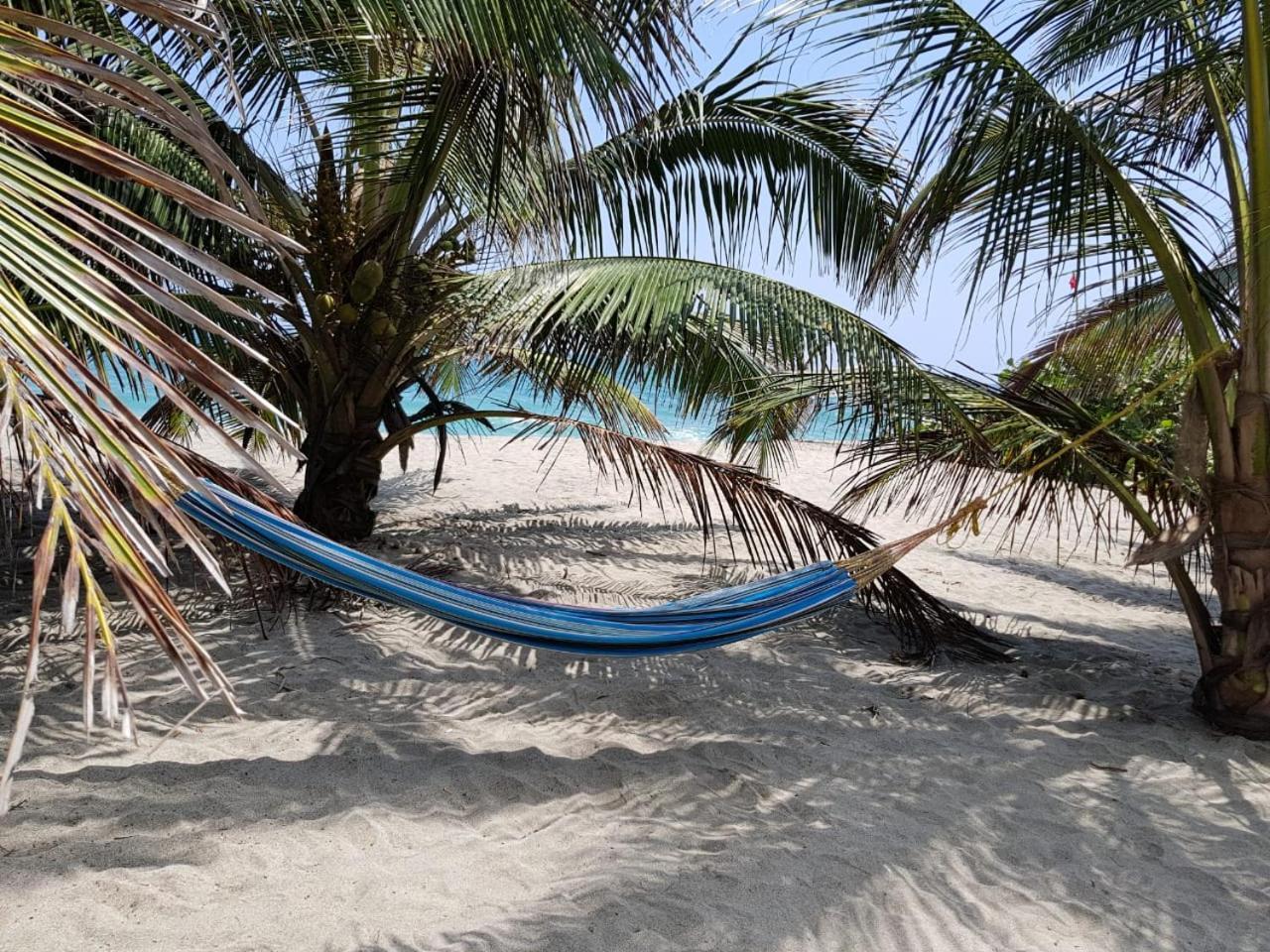 Camping Castilletes Parque Tayrona Bed & Breakfast Ел Заино Екстериор снимка